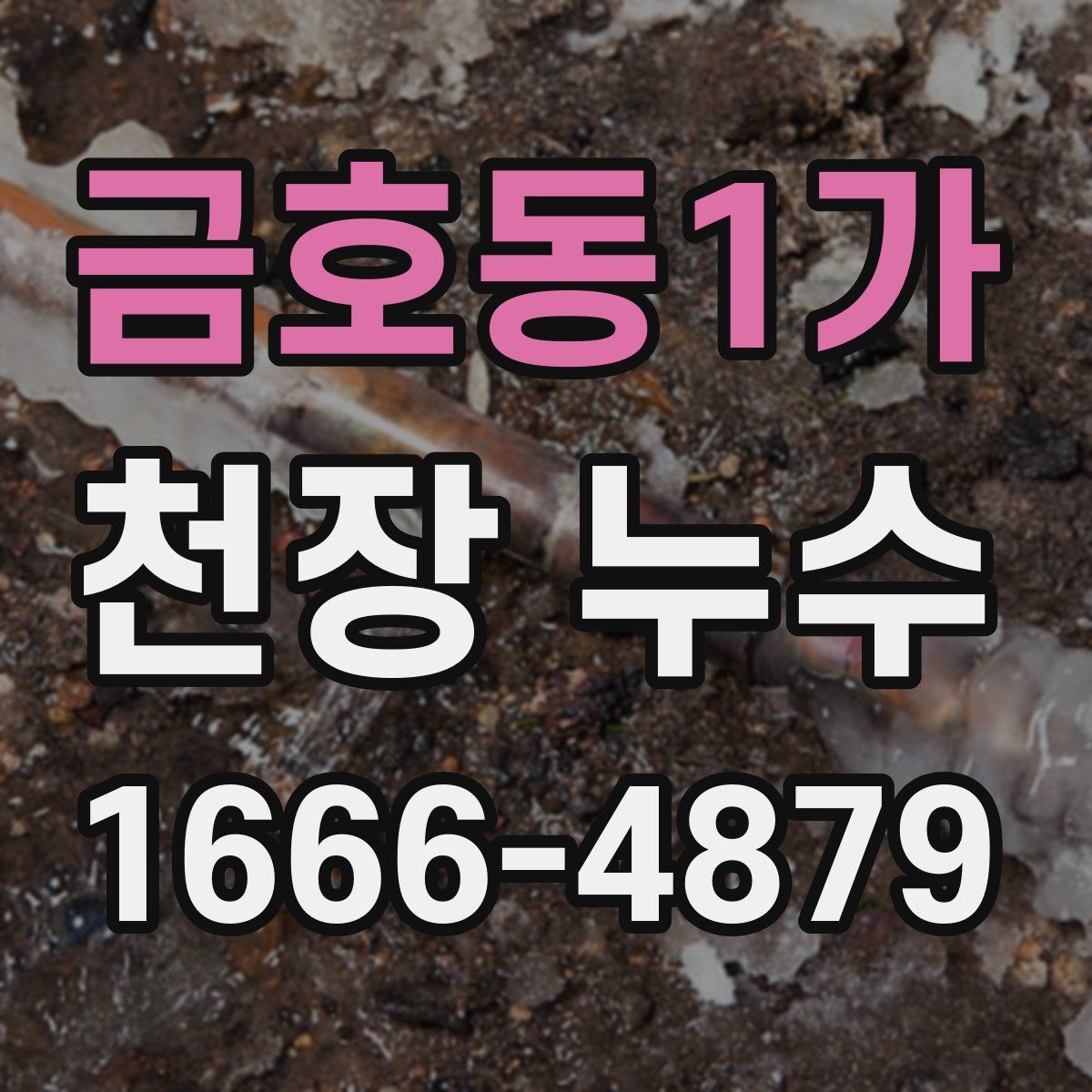 금호동1가 천장 누수