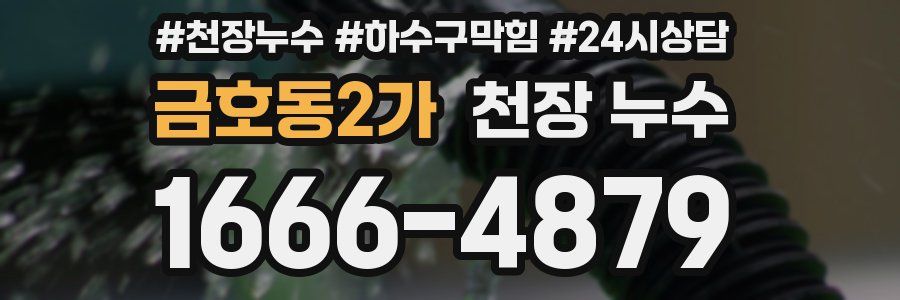 금호동2가 천장 누수