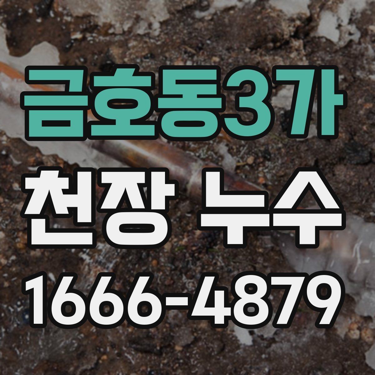 금호동3가 천장 누수 천장 가까이에서 퀴퀴한 냄새가 올라올 때