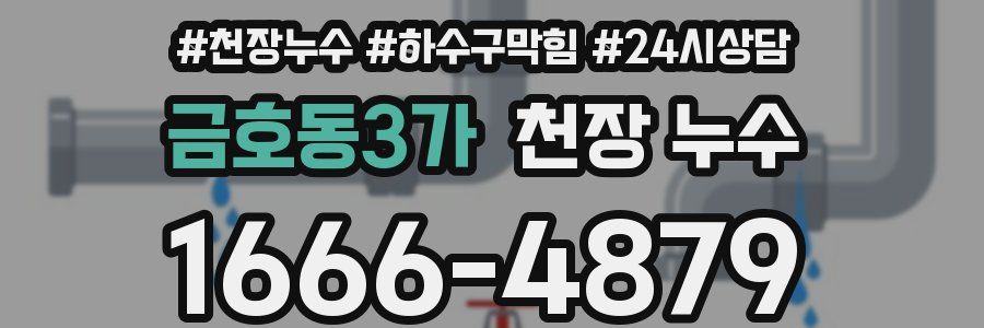 금호동3가 천장 누수