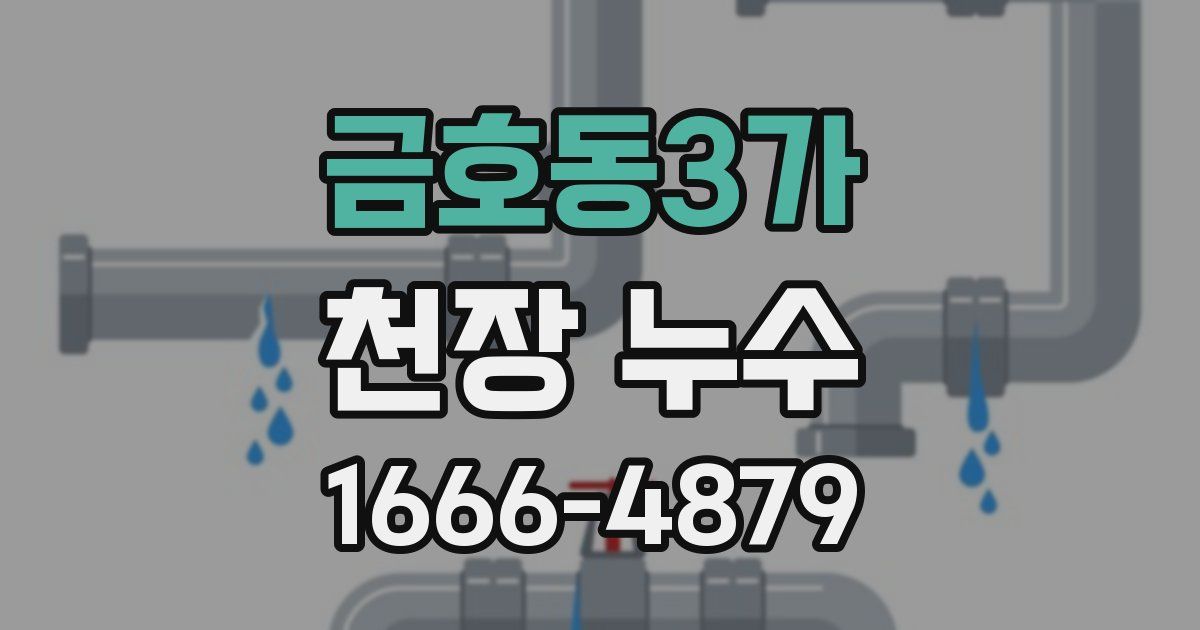 금호동3가 천장 누수