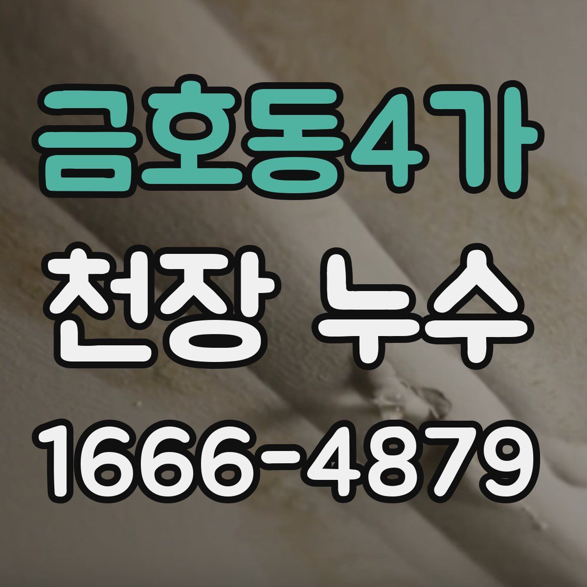 금호동4가 천장 누수