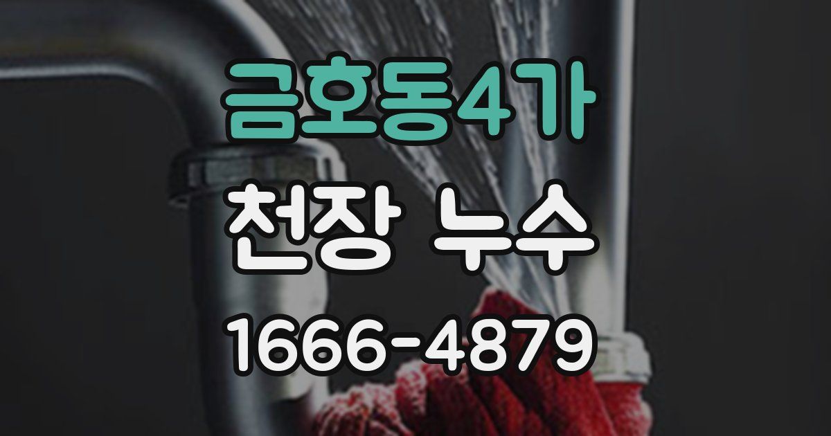 금호동4가 천장 누수