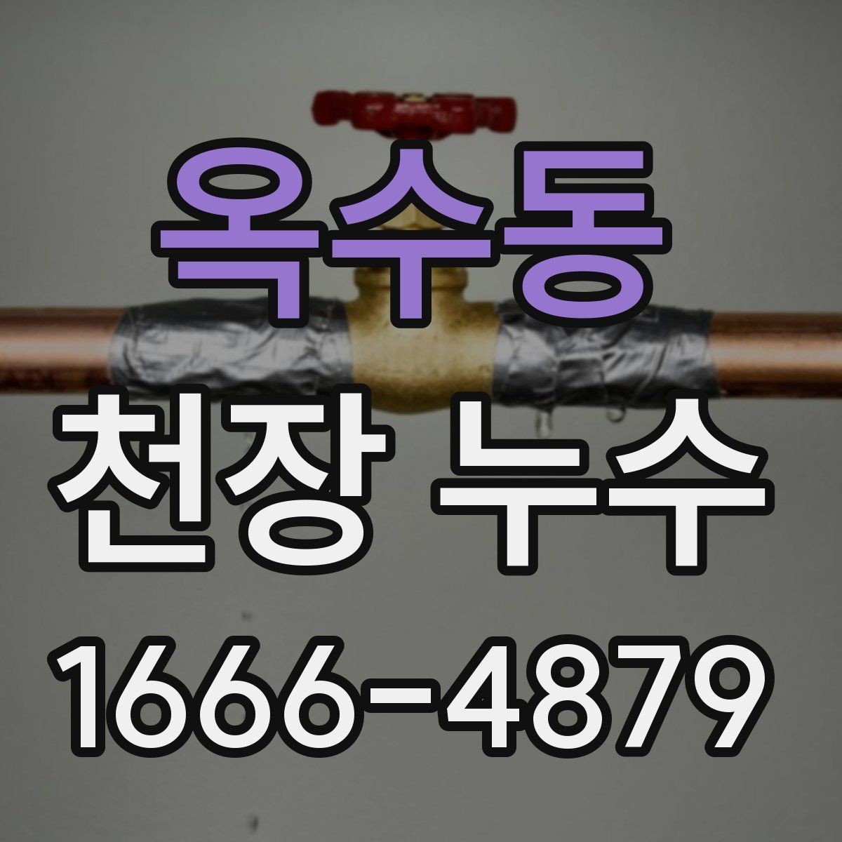 옥수동 천장 누수 점검구를 열어도 원인이 안 보일 때