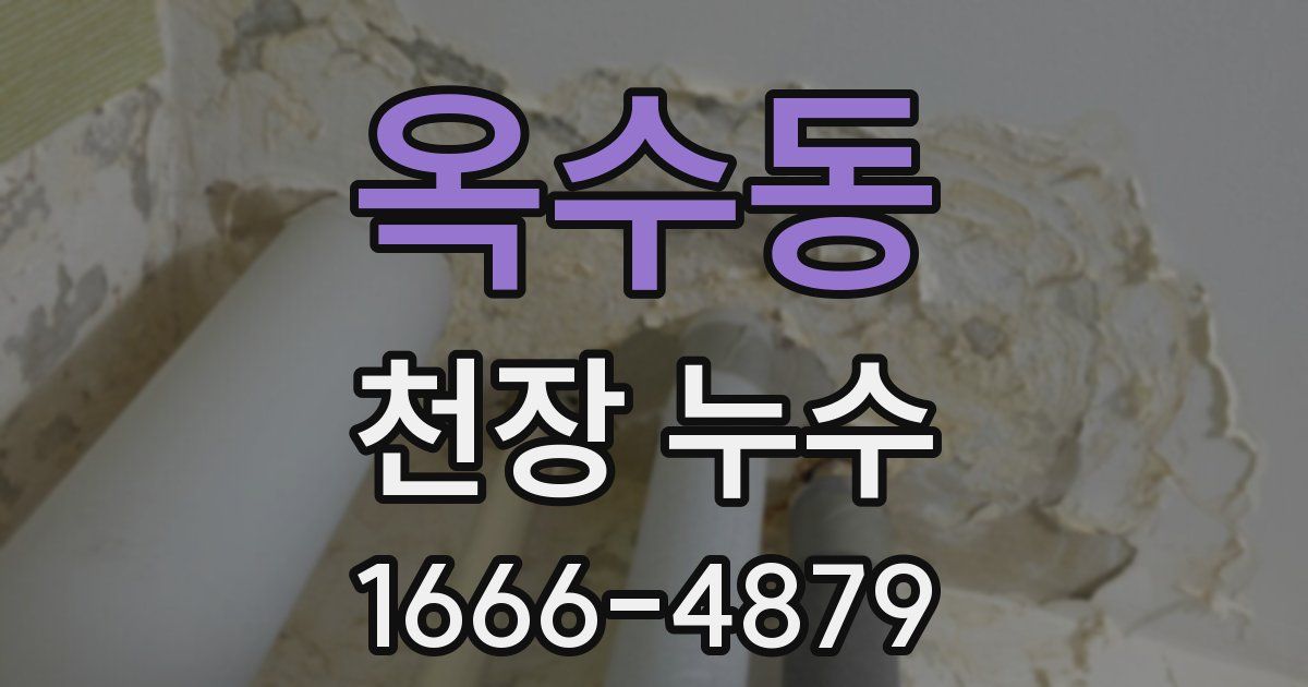옥수동 천장 누수