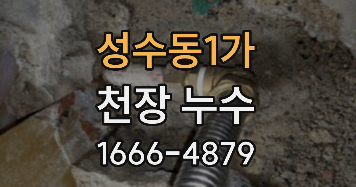 성수동1가 천장 누수