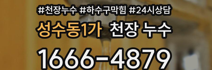 성수동1가 천장 누수