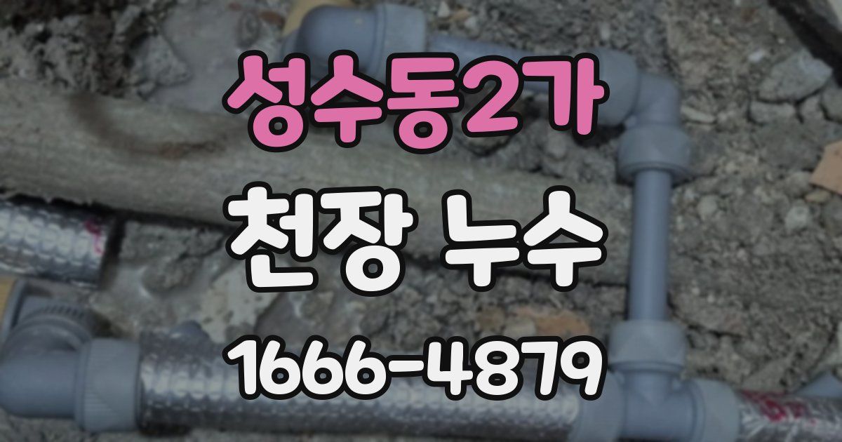 성수동2가 천장 누수