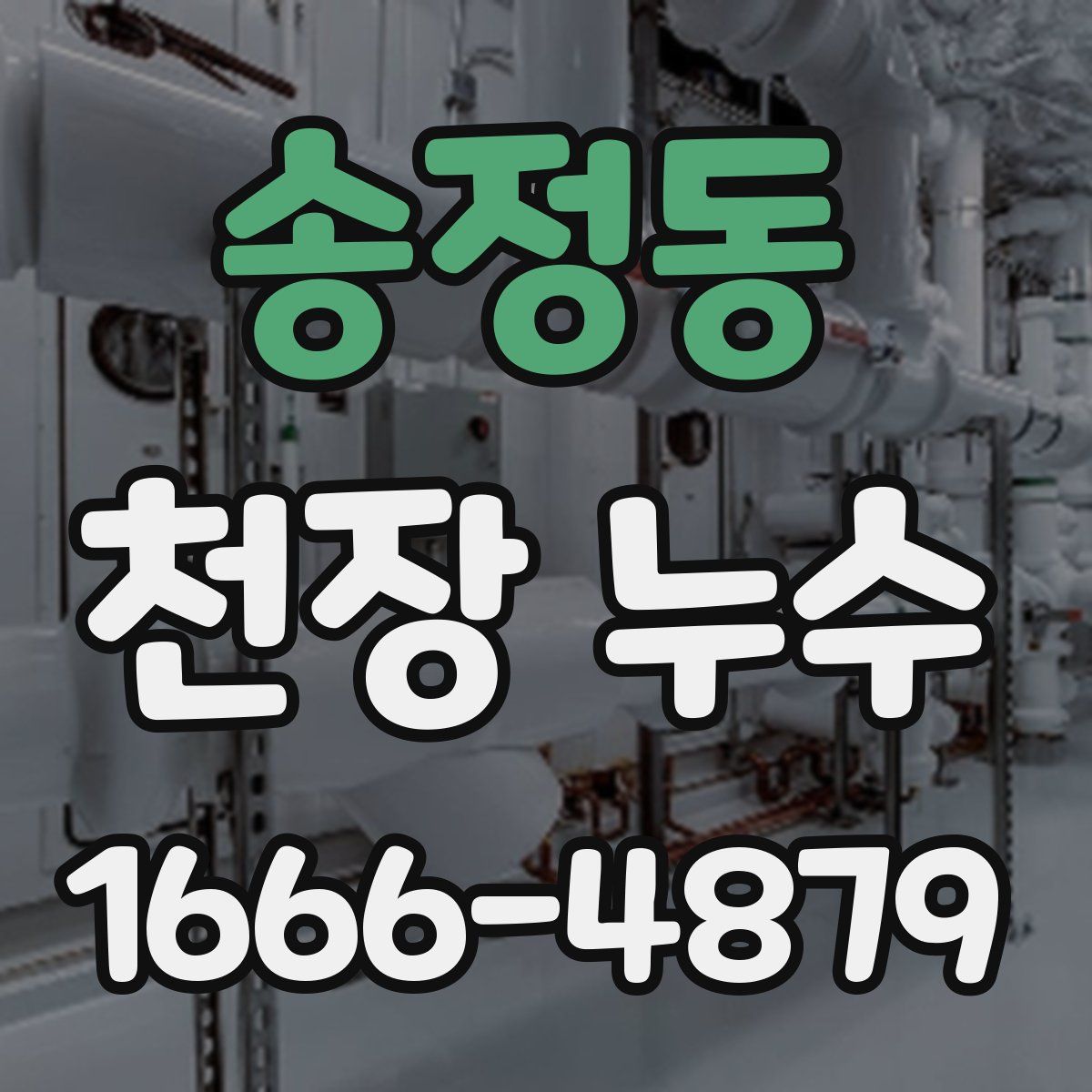 송정동 천장 누수