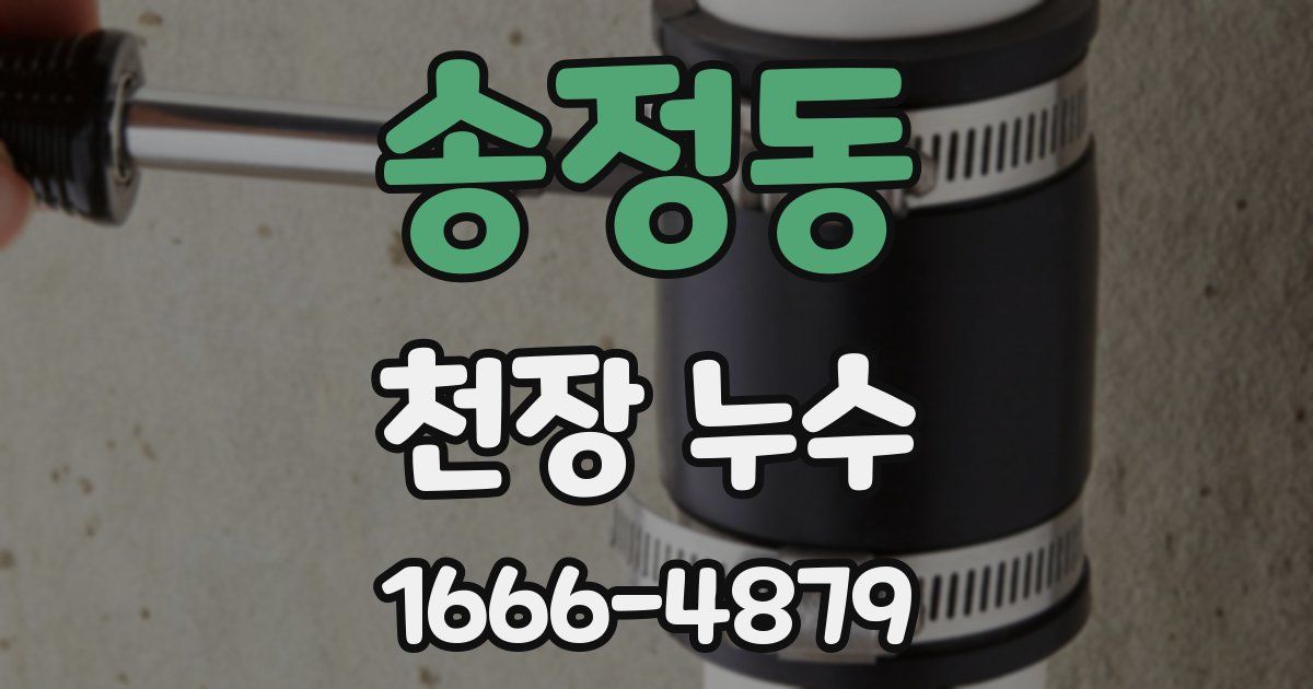 송정동 천장 누수