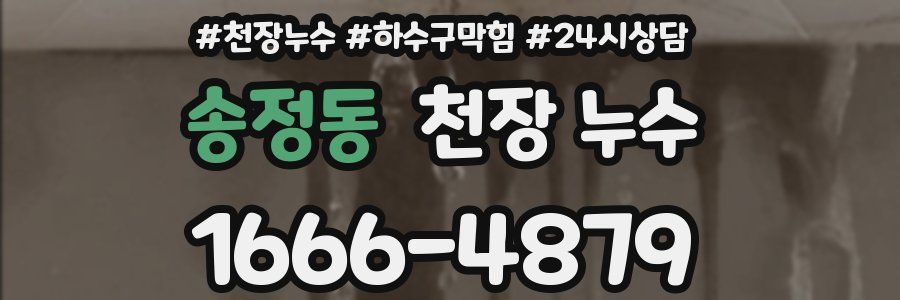 송정동 천장 누수