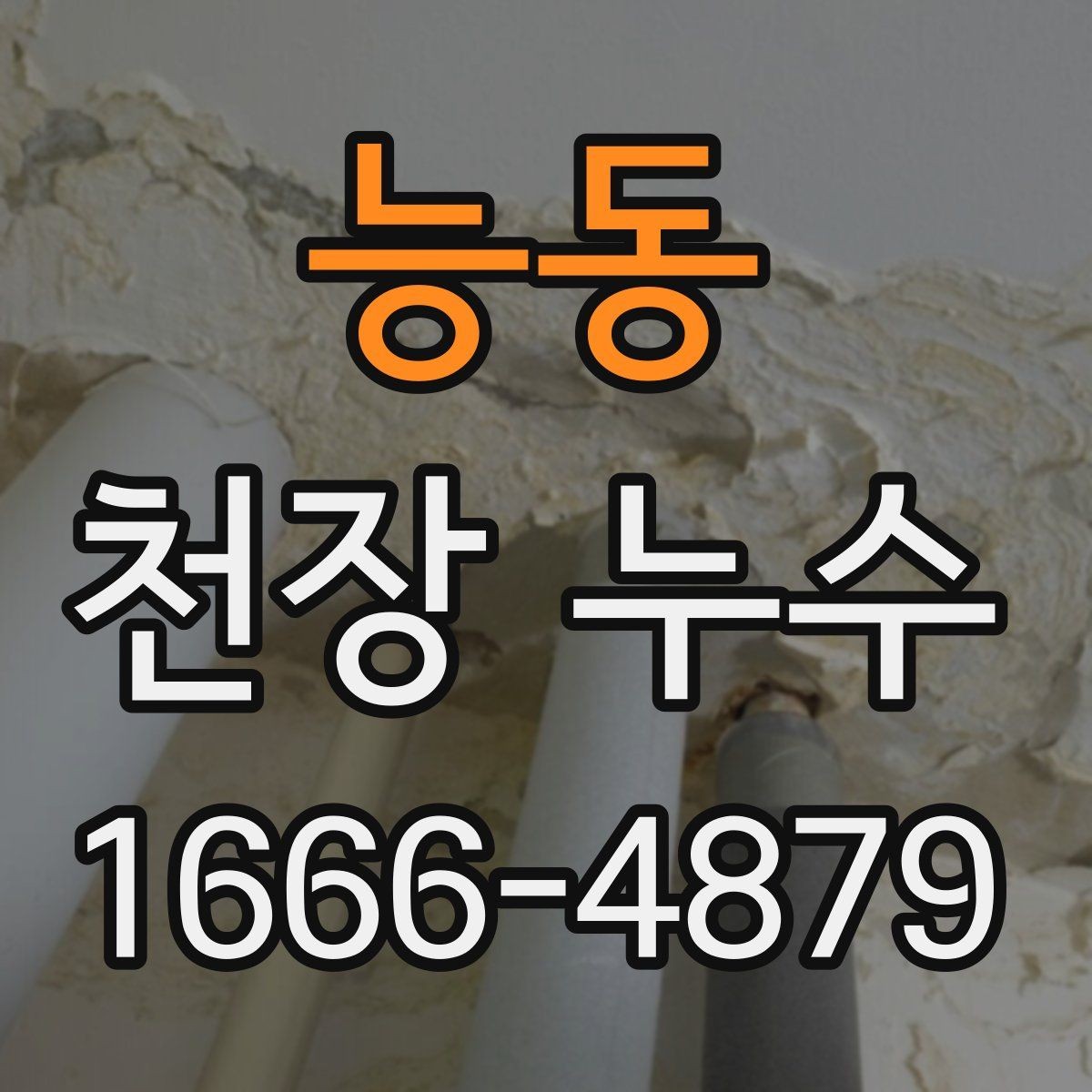 능동 천장 누수 천장에 작은 점 얼룩이 생기면 초기 신호일 수 있어요