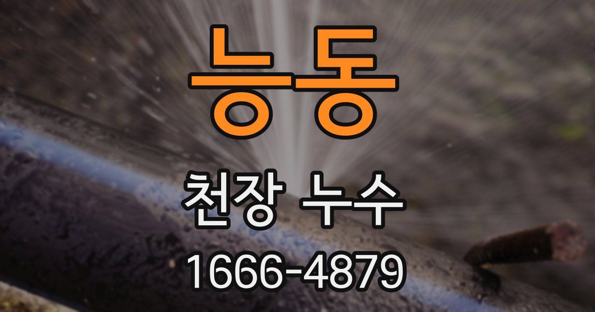 능동 천장 누수