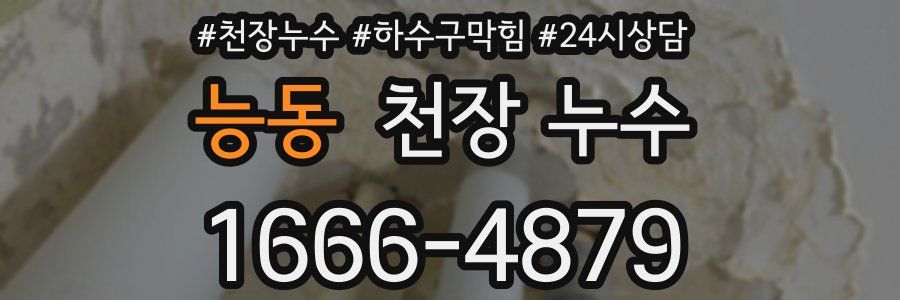 능동 천장 누수