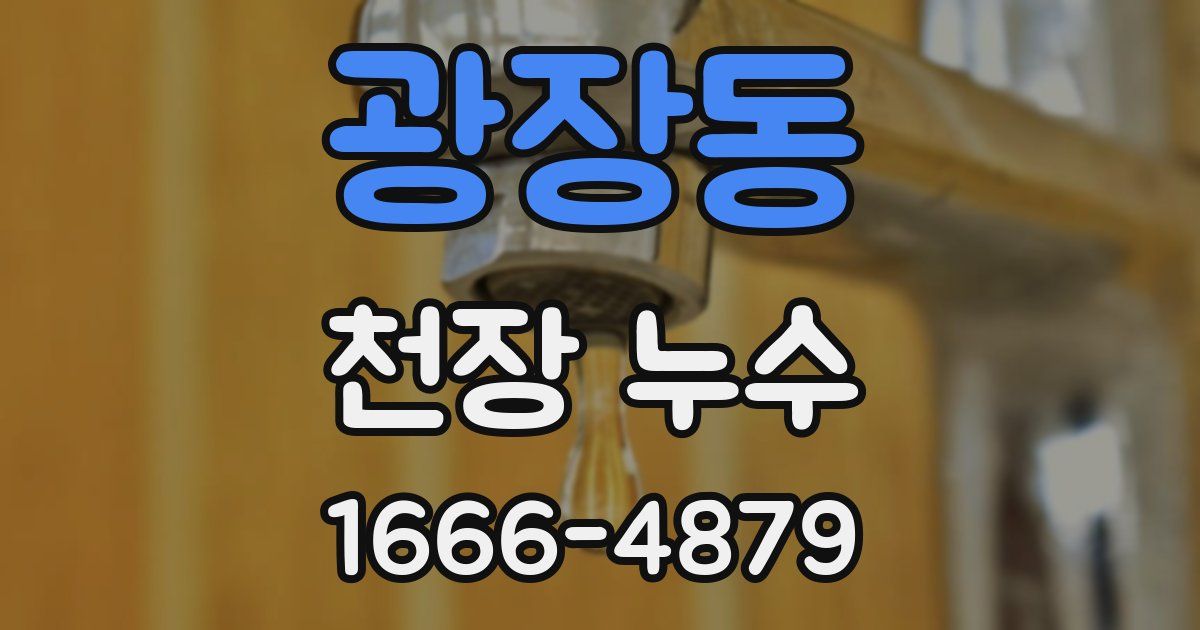 광장동 천장 누수