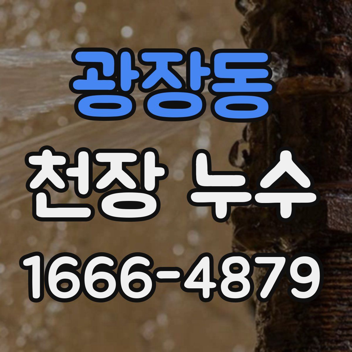 광장동 천장 누수