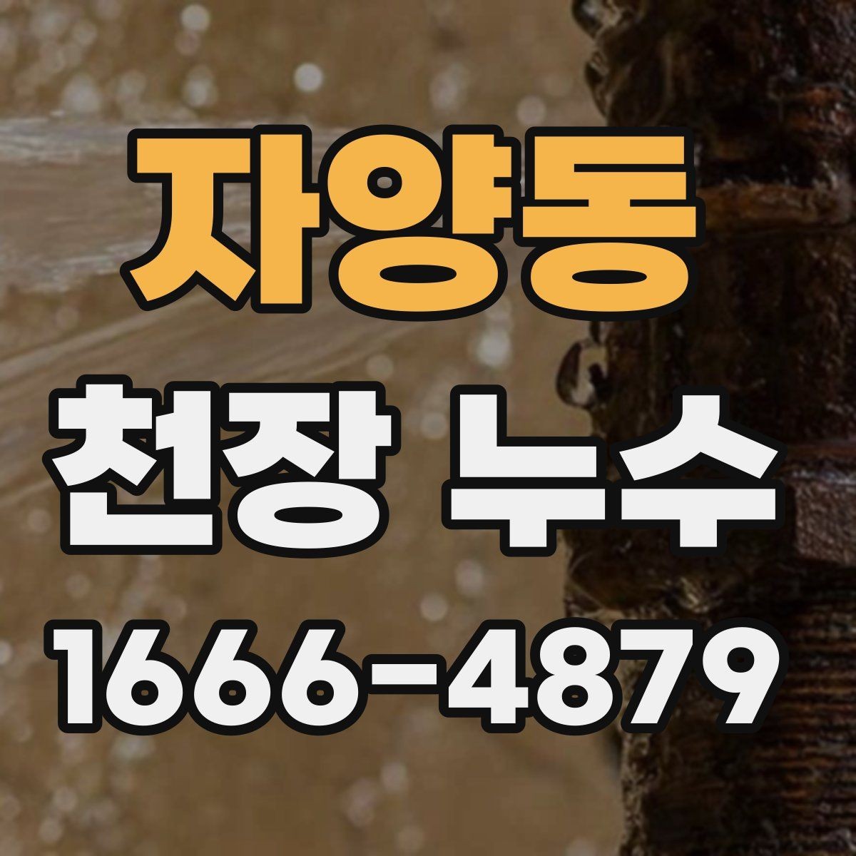 자양동 천장 누수 마른 얼룩 위로 다시 젖음이 생기면 재발 의심