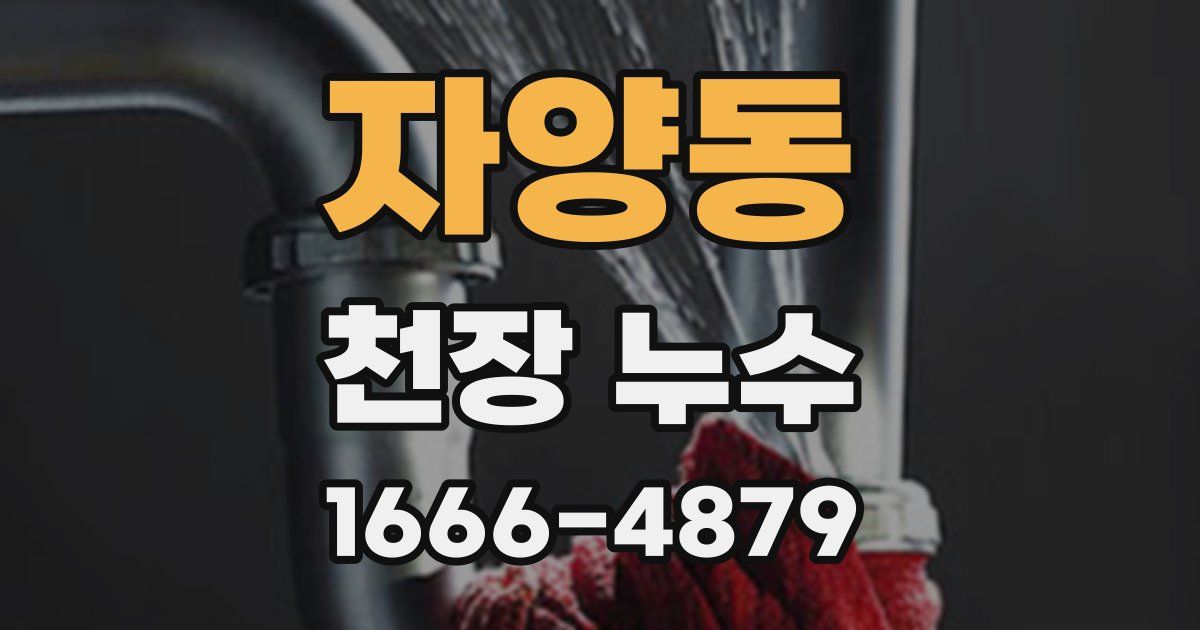 자양동 천장 누수