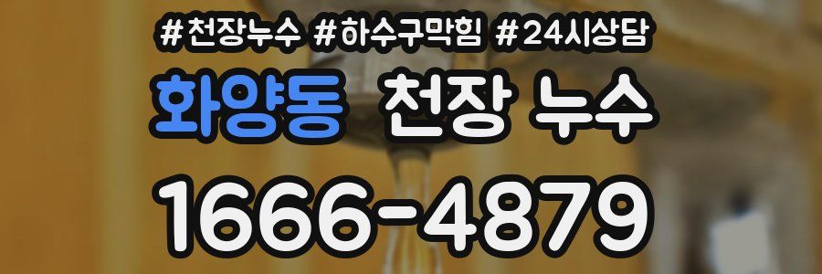 화양동 천장 누수