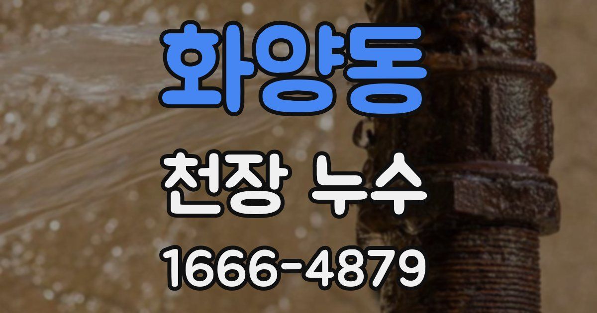 화양동 천장 누수