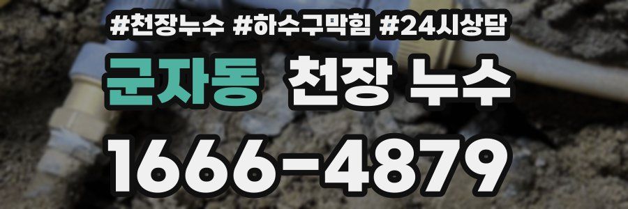 군자동 천장 누수