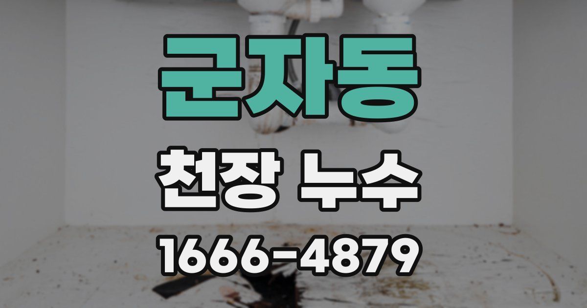 군자동 천장 누수