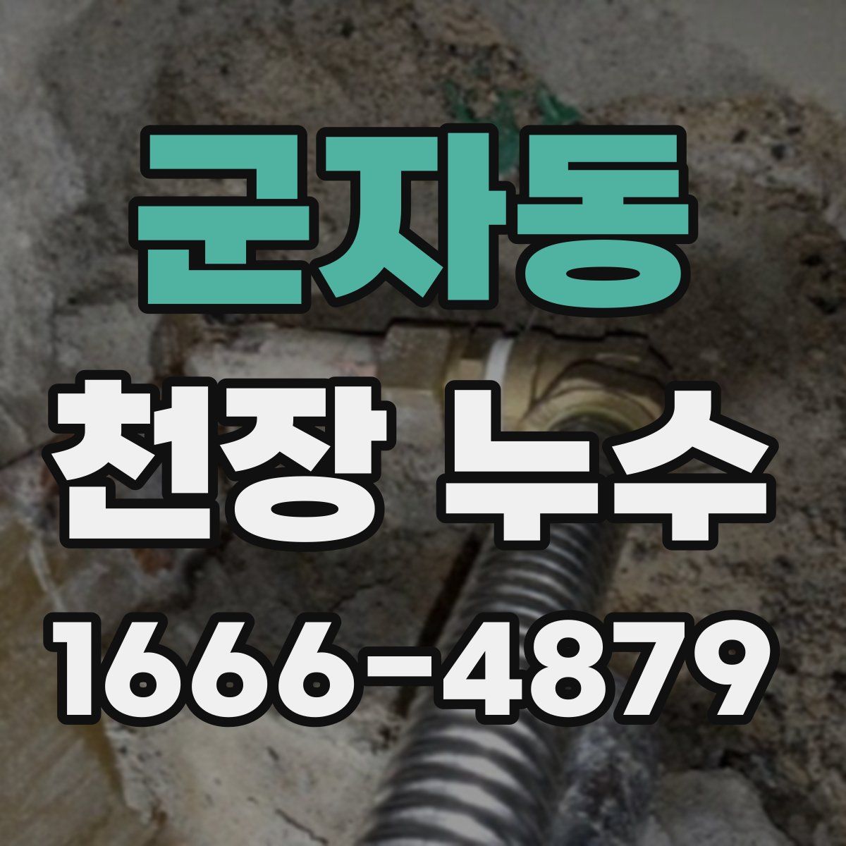 군자동 천장 누수