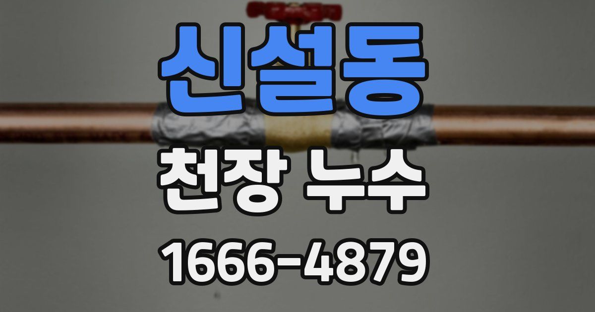 신설동 천장 누수