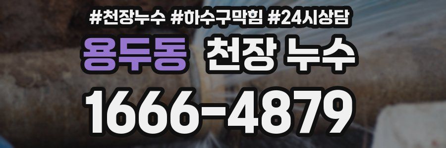 용두동 천장 누수