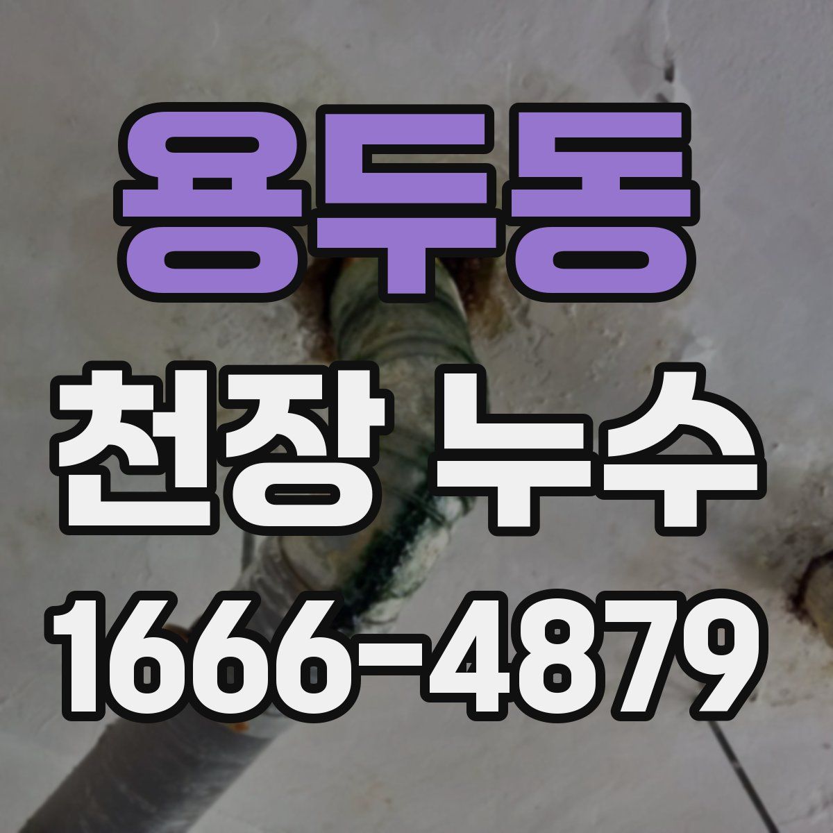 용두동 천장 누수