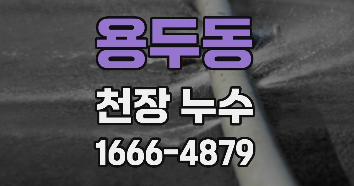 용두동 천장 누수