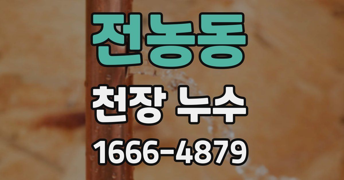 전농동 천장 누수