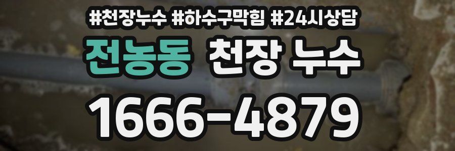 전농동 천장 누수