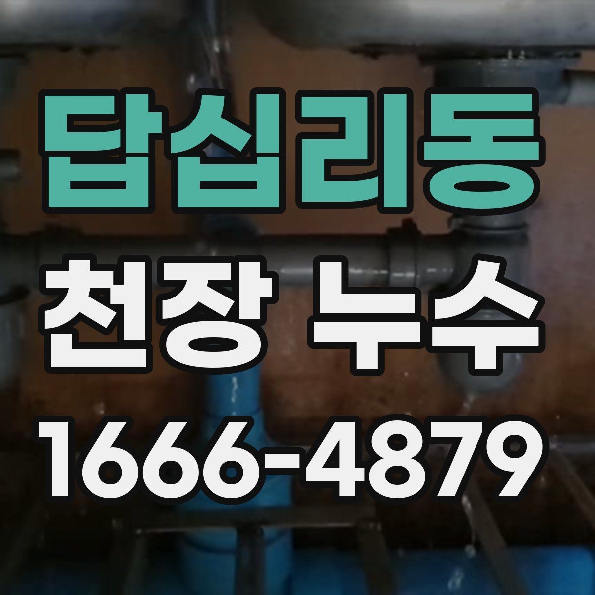 답십리동 천장 누수 물받이 대야만으로 부족할 때 대처