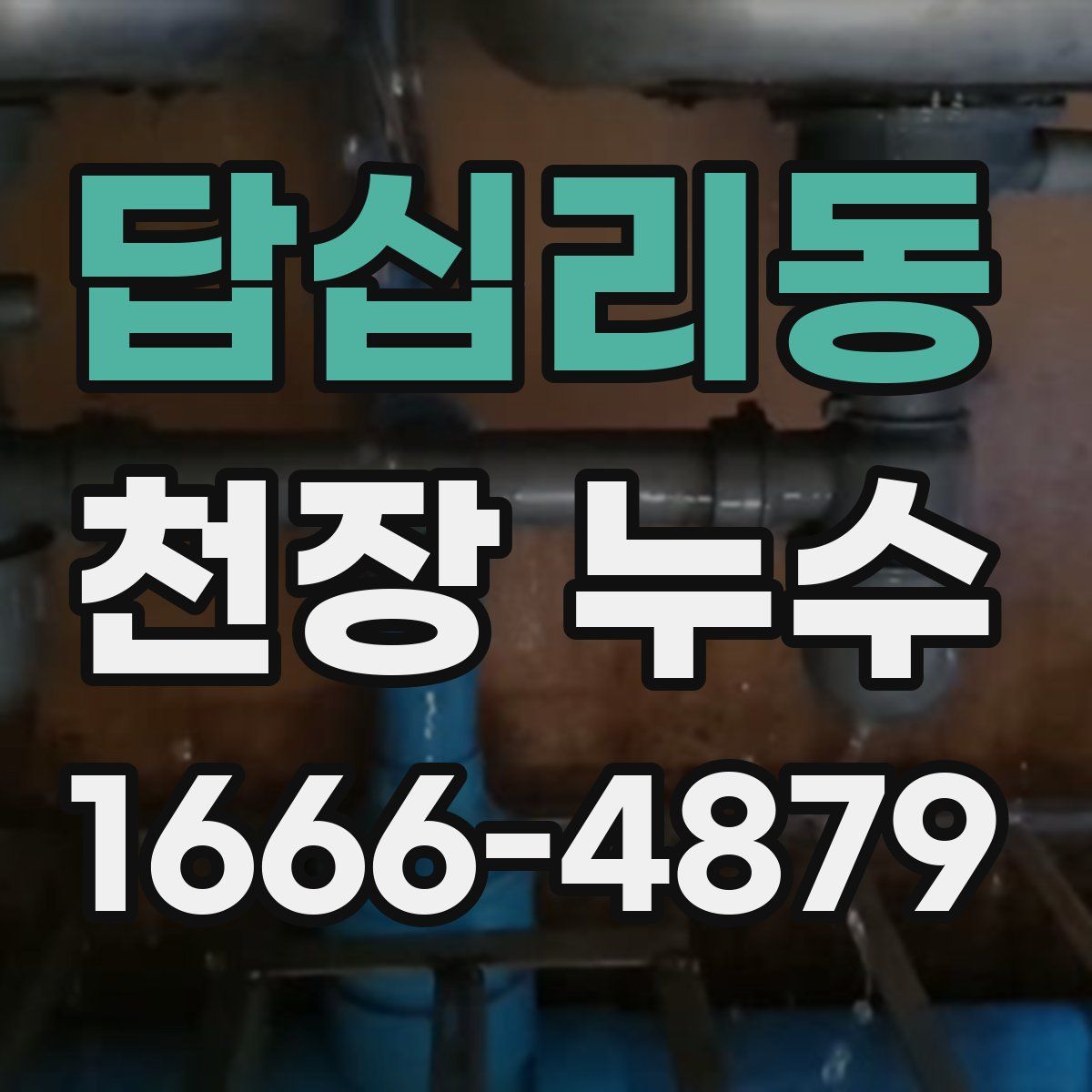 답십리동 천장 누수