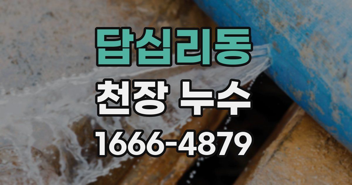 답십리동 천장 누수