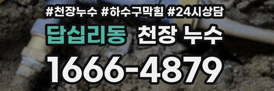 답십리동 천장 누수