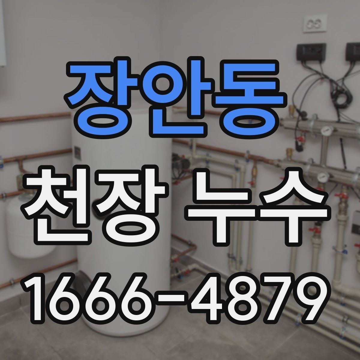 장안동 천장 누수 원인 파악부터 정리해 드립니다