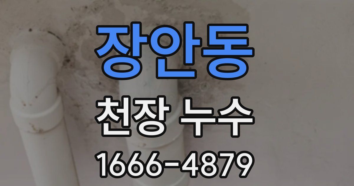 장안동 천장 누수