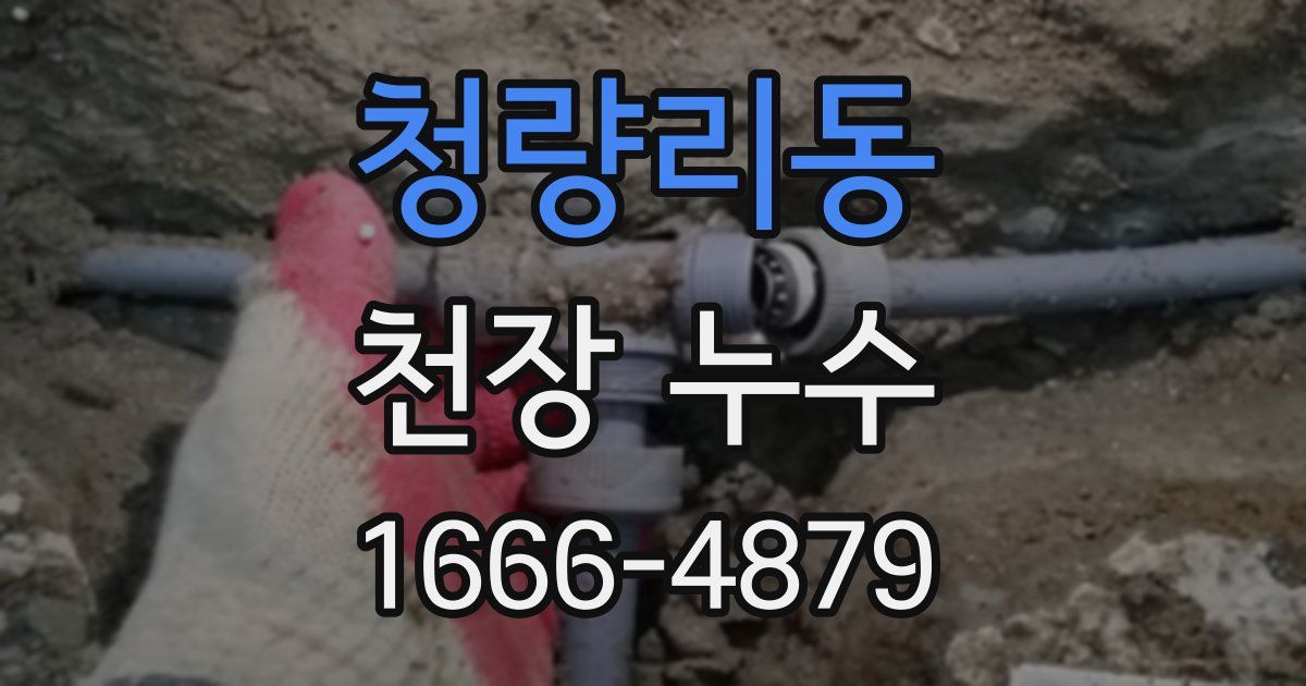 청량리동 천장 누수