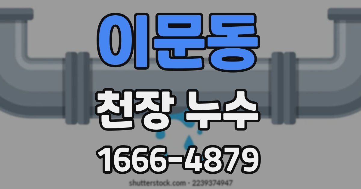 이문동 천장 누수