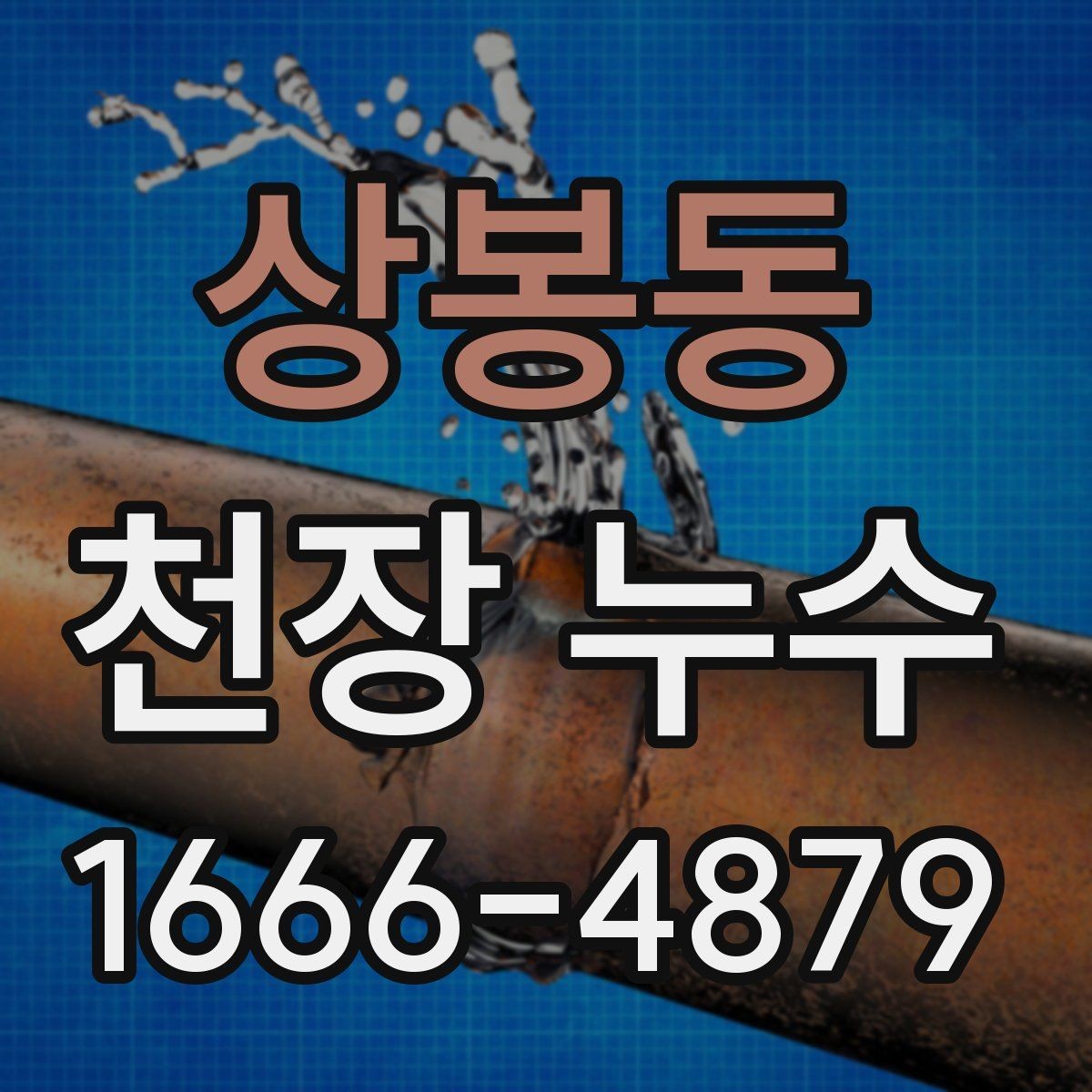 상봉동 천장 누수 천장 근처에서 물비린내 같은 냄새가 날 때