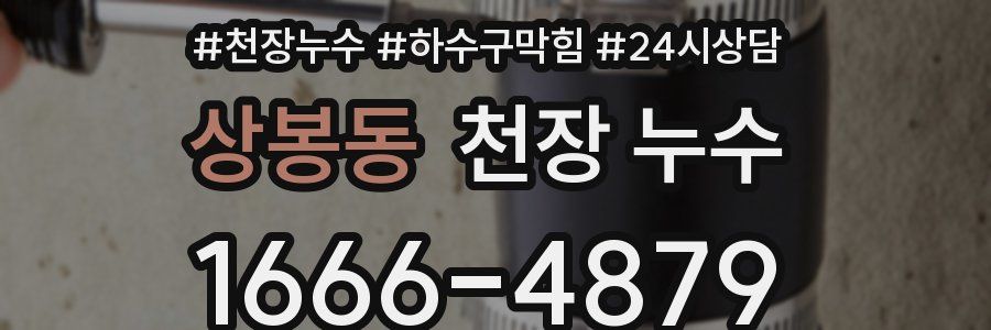 상봉동 천장 누수