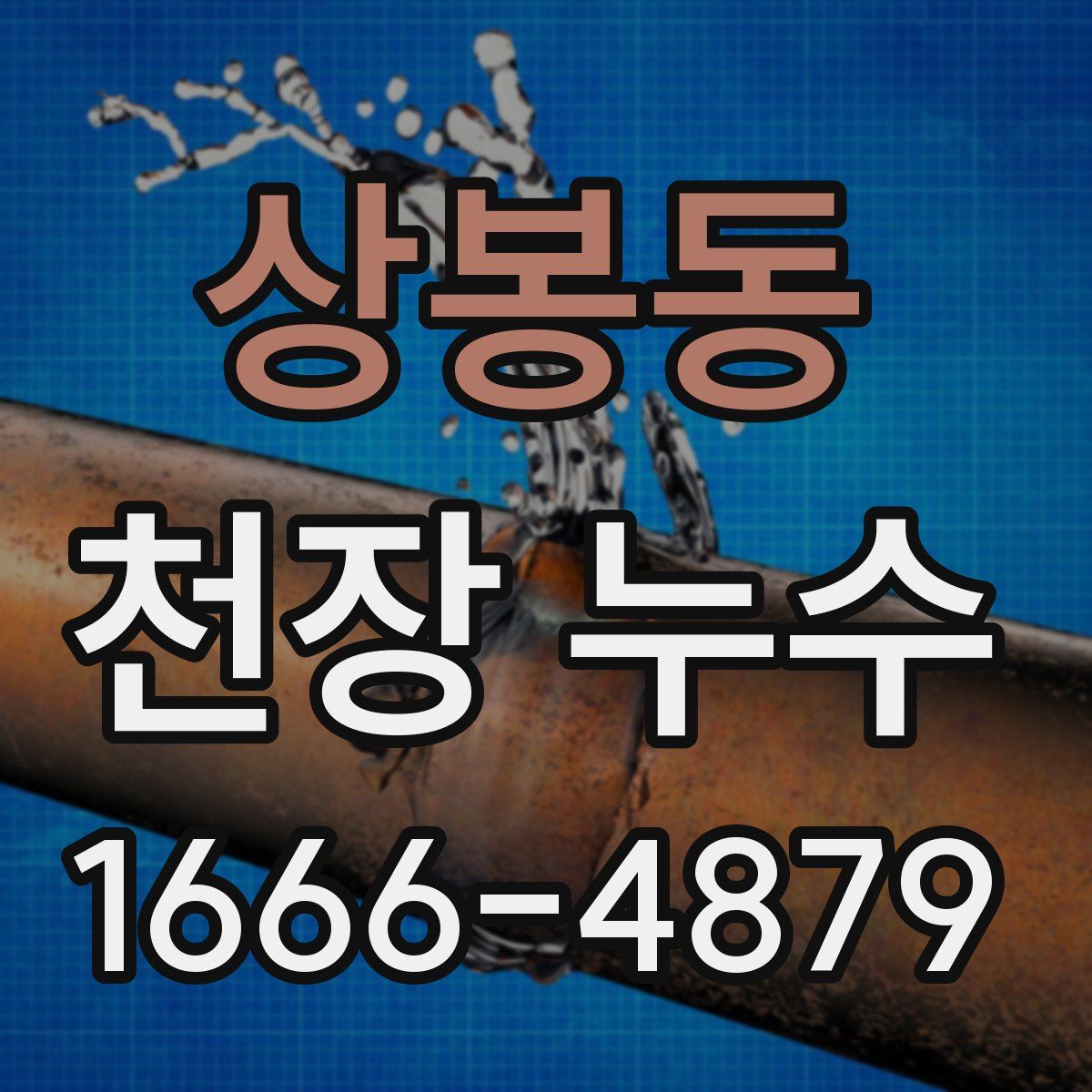 상봉동 천장 누수