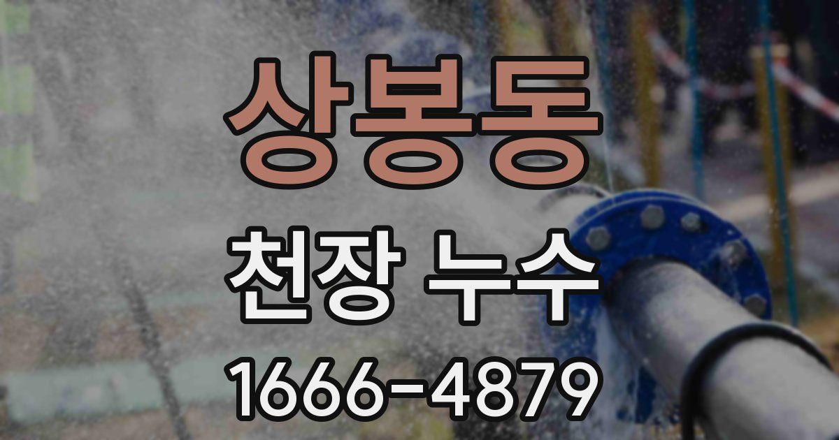 상봉동 천장 누수