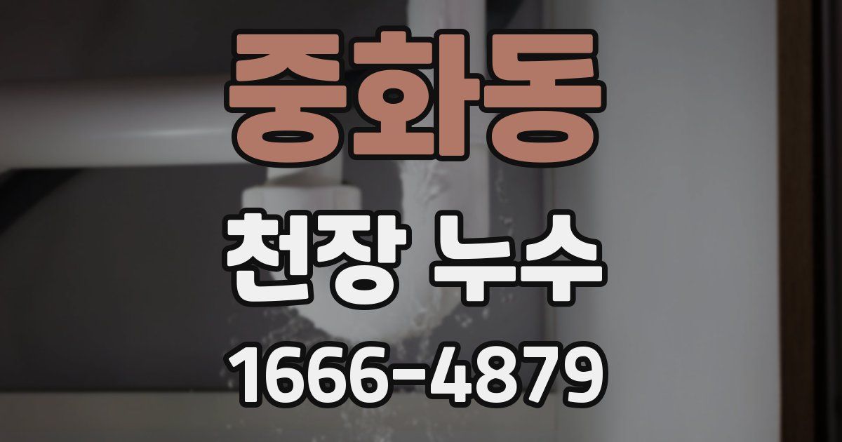 중화동 천장 누수
