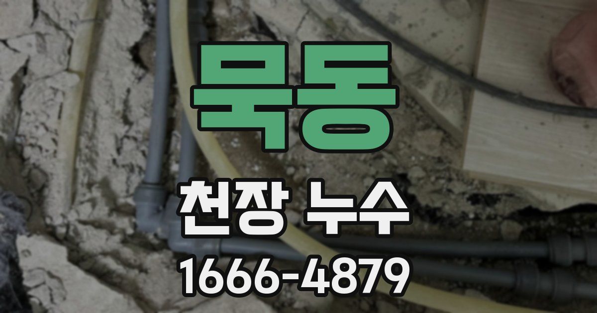 묵동 천장 누수