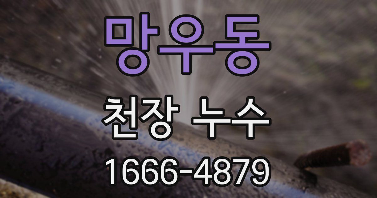 망우동 천장 누수