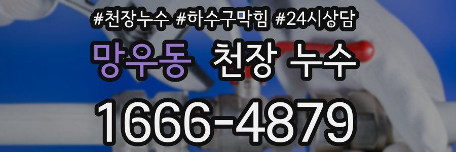 망우동 천장 누수