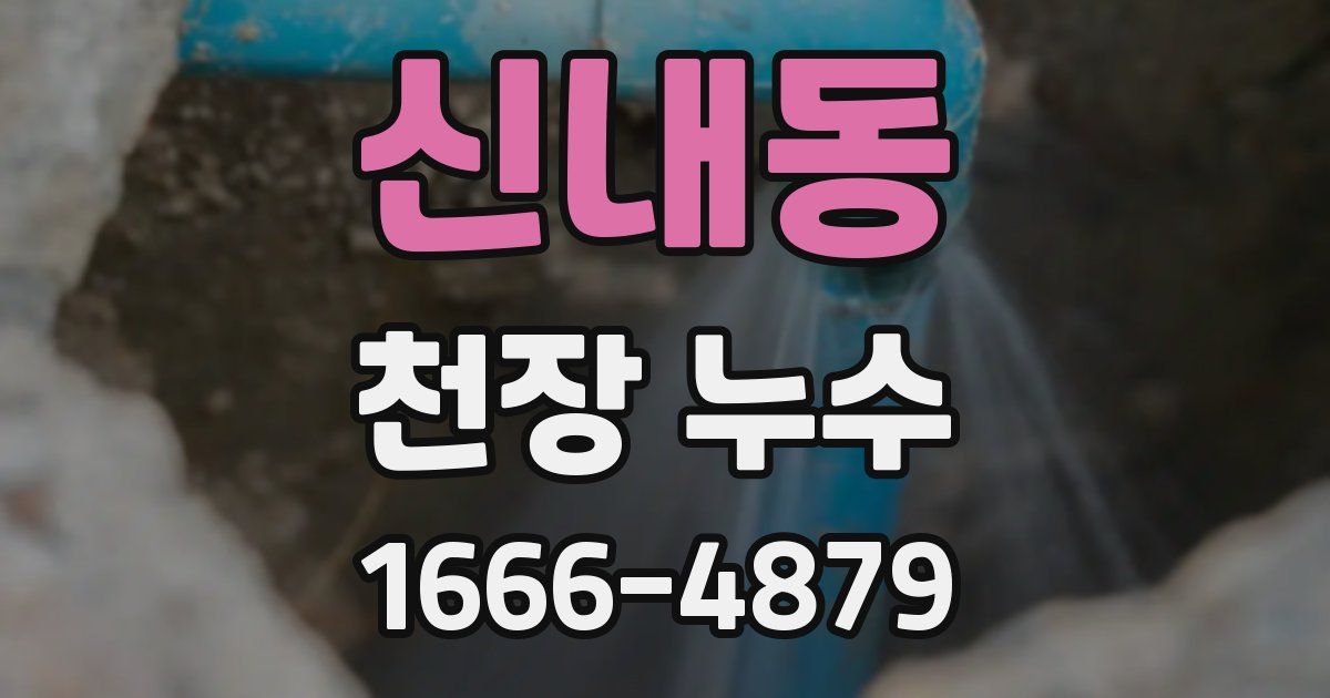 신내동 천장 누수